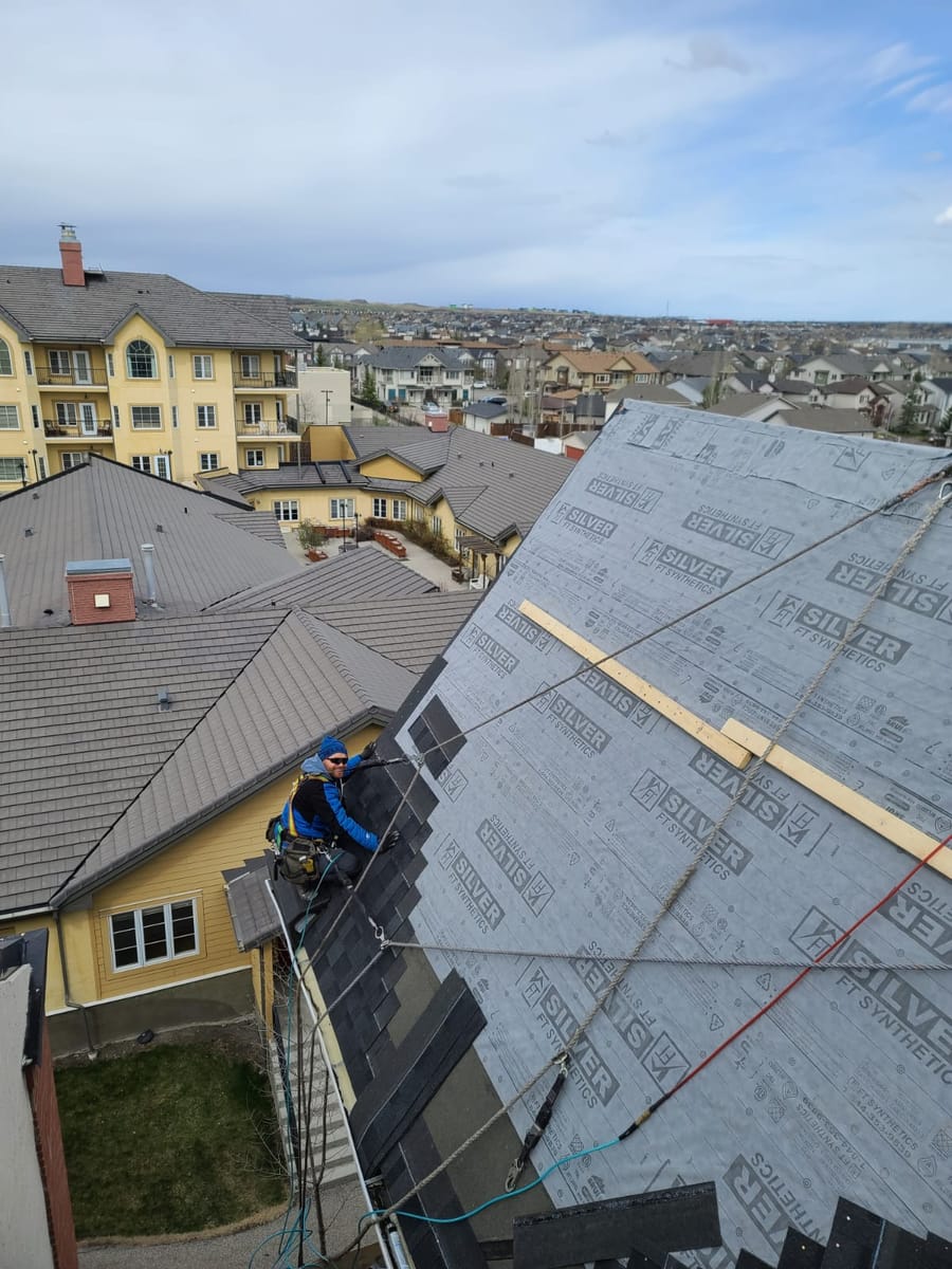 Gazi Shyti owner of Vertex Roofing & Exteriors Ltd harnessed on steep roof