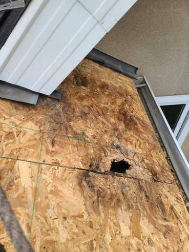 emergency roof repair leak sheathing damaged calgary ab