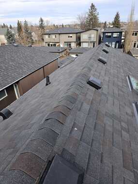 malarkey class 4 black oak colour in calgary nw hail hit region