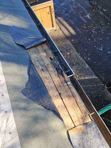 tree damage to roof sheathing eaves perimeter